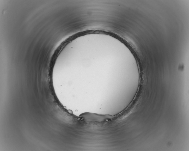 X0000091350880200709071236