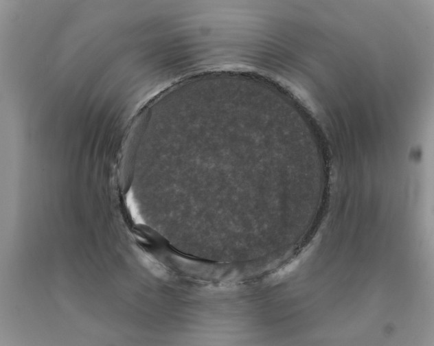 X0000091350881200709071236