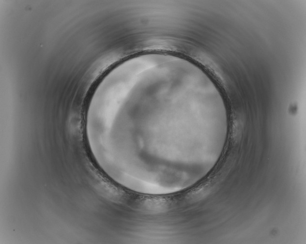 X0000091350882200709071236