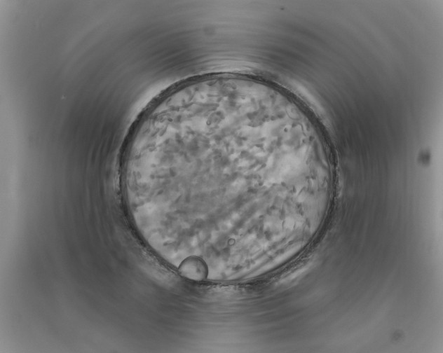 X0000091350883200709071236