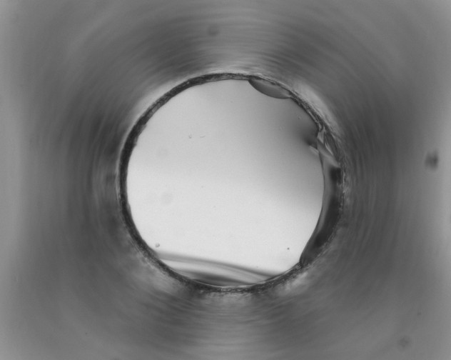 X0000091350884200709071236