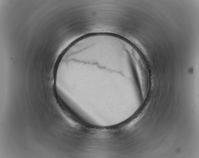 X0000091350885200709071236