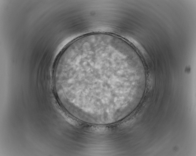 X0000091350886200709071236