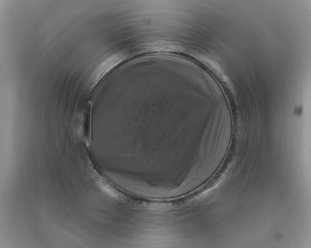 X0000091350889200709071236