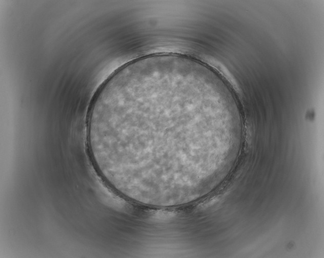 X0000091350890200709071236