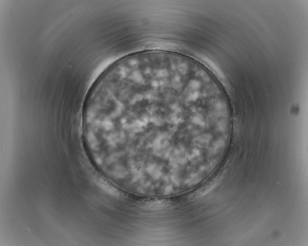 X0000091350891200709071236