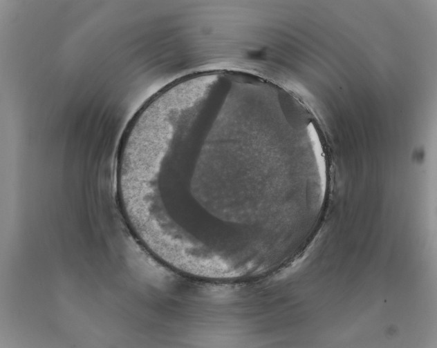 X0000091350892200709071236