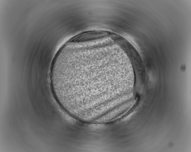 X0000091350893200709071236