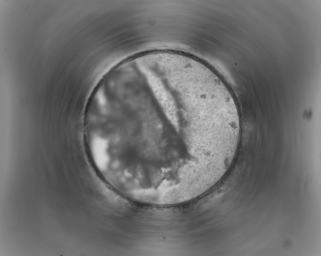 X0000091350895200709071236