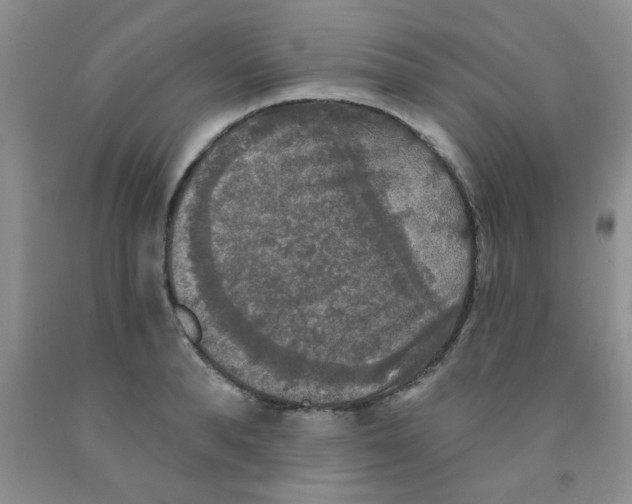 X0000091350896200709071236