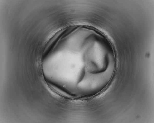 X0000091350897200709071236