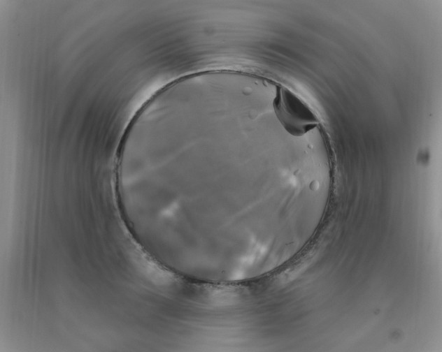 X0000091350899200709071236