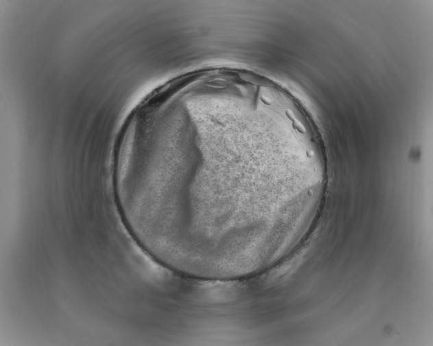 X0000091350902200709071236