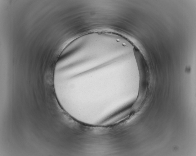 X0000091350905200709071236