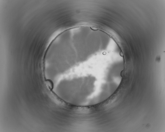 X0000091350907200709071236