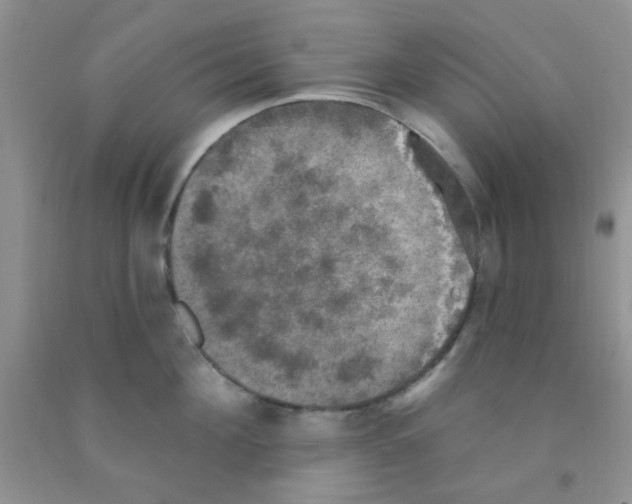 X0000091350908200709071236