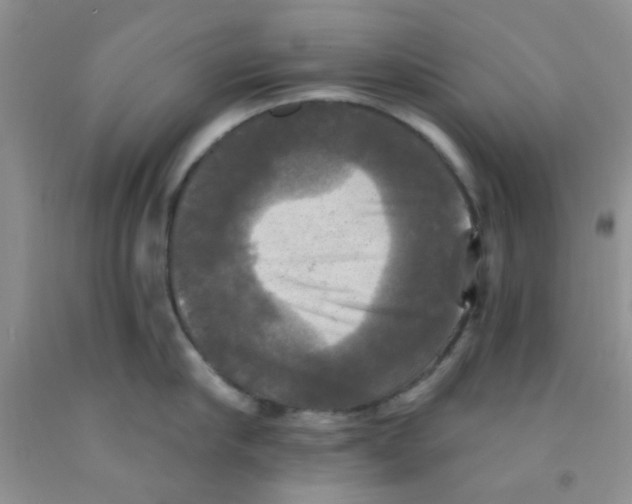X0000091350910200709071236