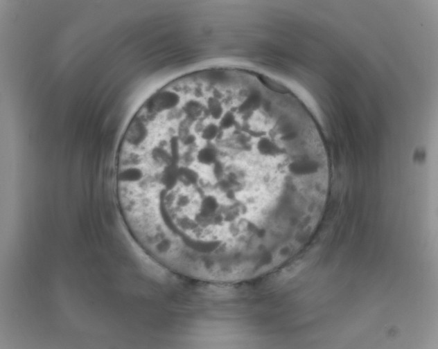 X0000091350911200709071236