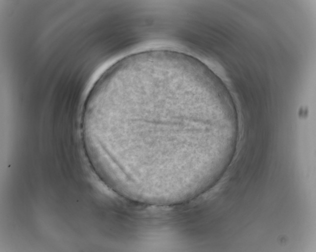 X0000091350912200709071236