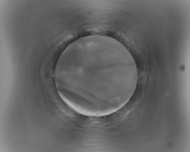 X0000091350913200709071235