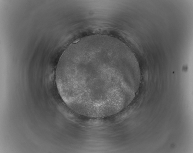 X0000091350914200709071235