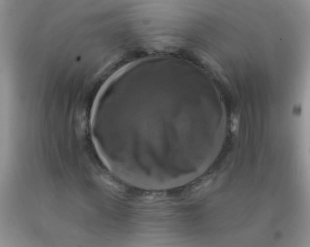 X0000091350915200709071235