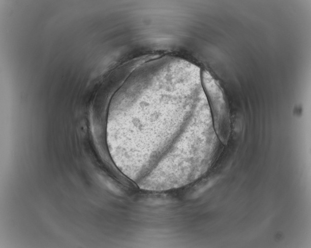 X0000091350916200709071235