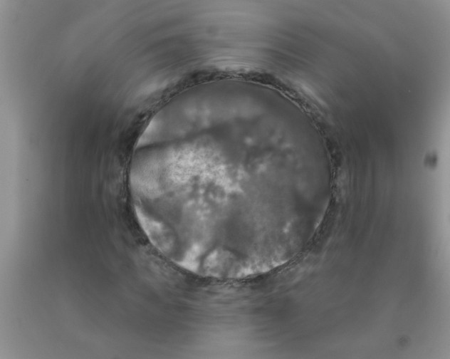 X0000091350917200709071235