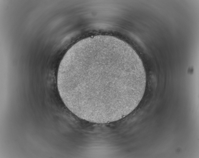 X0000091350918200709071235