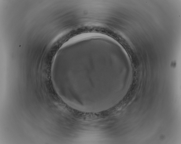 X0000091350919200709071235
