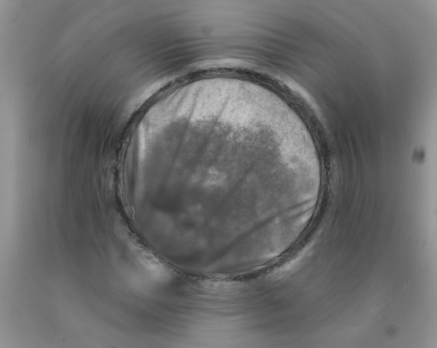 X0000091350921200709071235