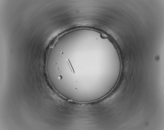 X0000091350922200709071235
