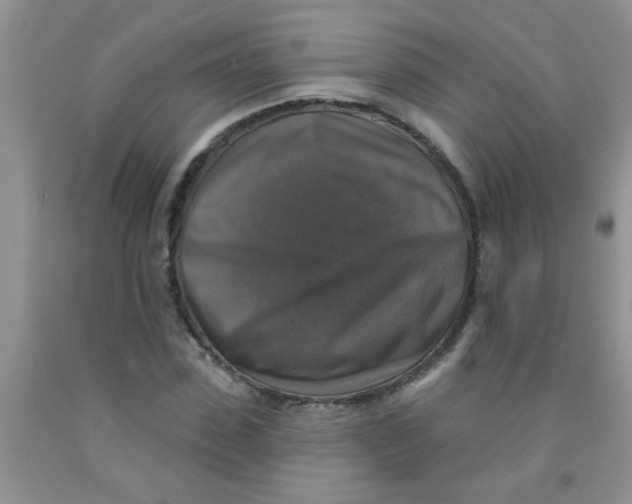 X0000091350923200709071235