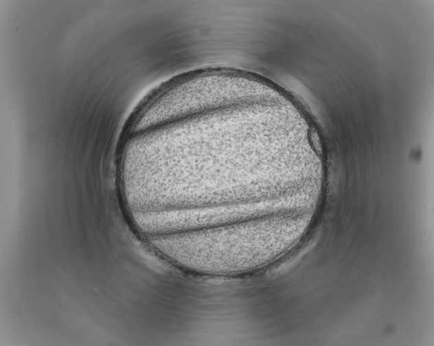 X0000091350924200709071235