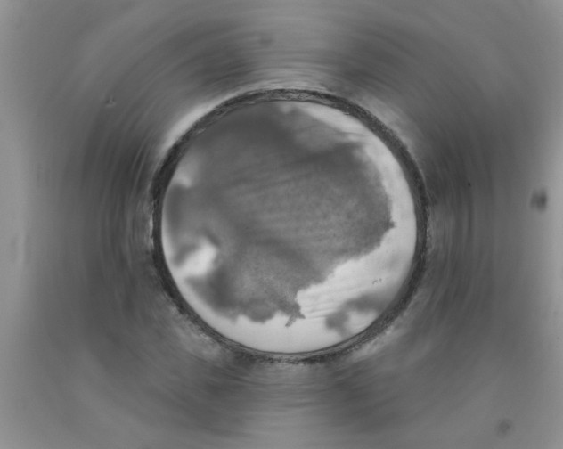 X0000091350925200709071235