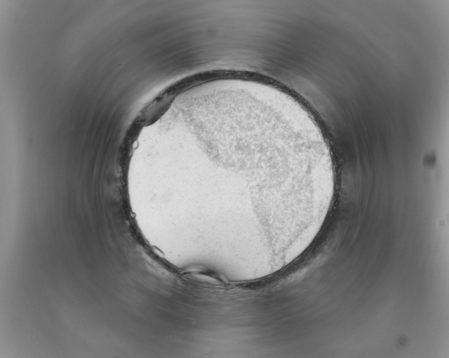 X0000091350926200709071235