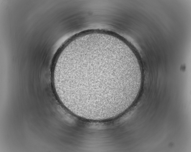 X0000091350927200709071235