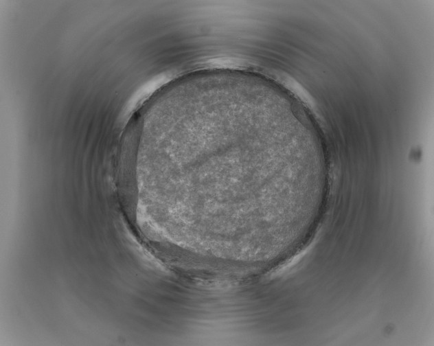 X0000091350930200709071235