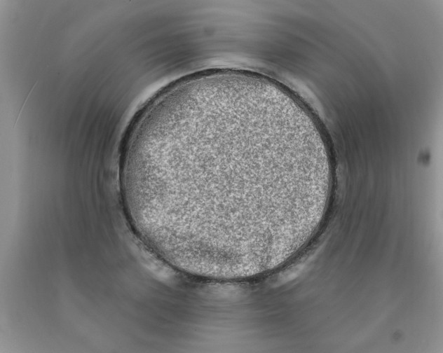 X0000091350931200709071235