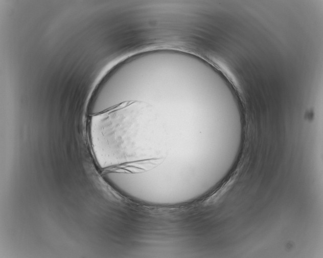 X0000091350932200709071235