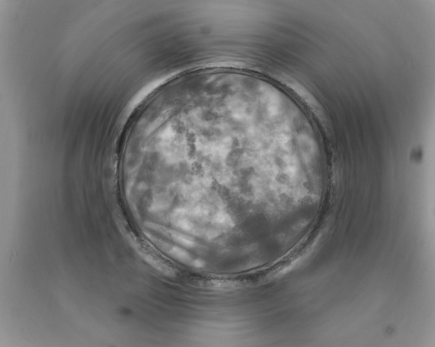 X0000091350933200709071235