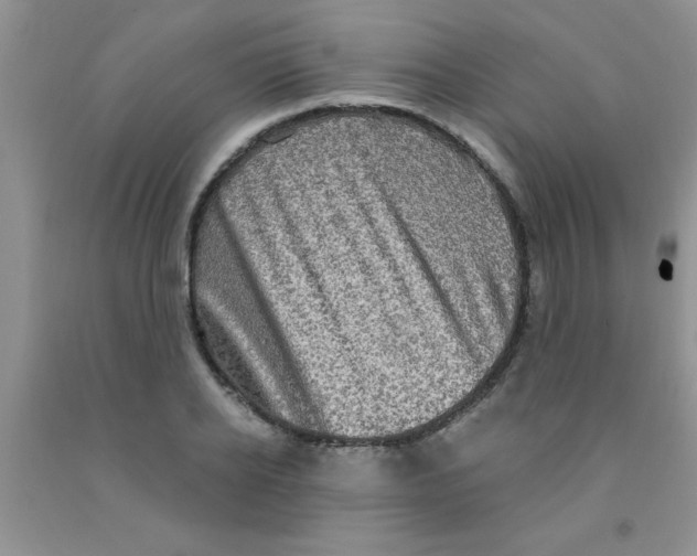 X0000091350934200709071235