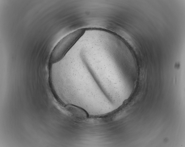 X0000091350936200709071235