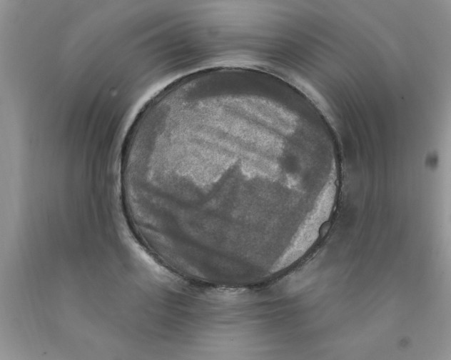 X0000091350939200709071236
