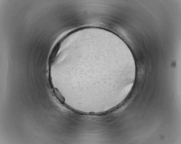X0000091350940200709071236