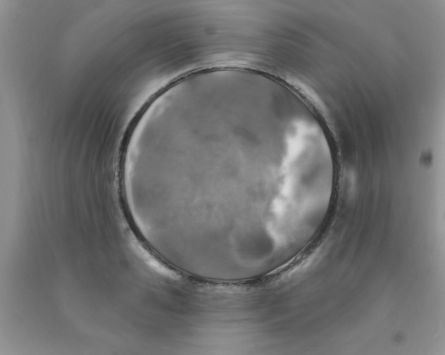 X0000091350941200709071236