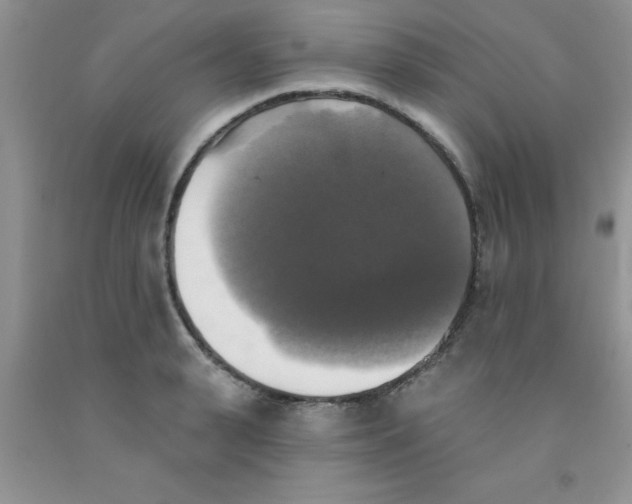 X0000091350943200709071236