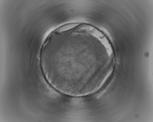 X0000091350944200709071236