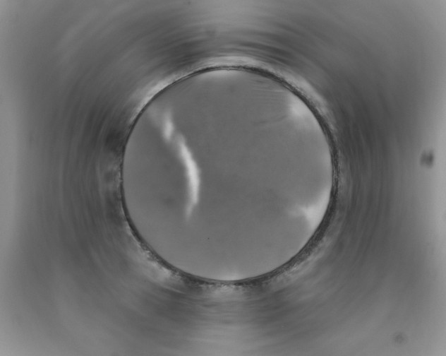 X0000091350945200709071236