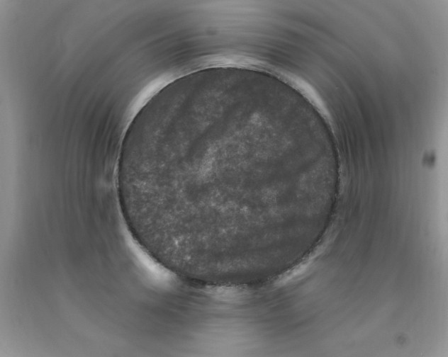 X0000091350946200709071236
